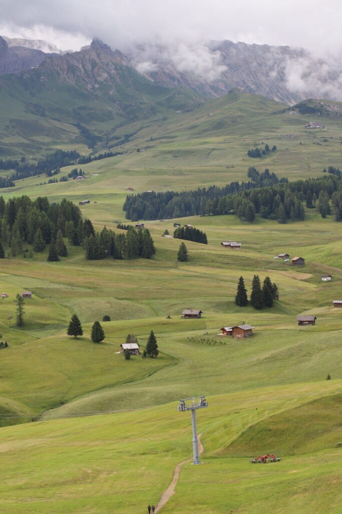 유럽 최대의 고산 목초지인 알페디시우시