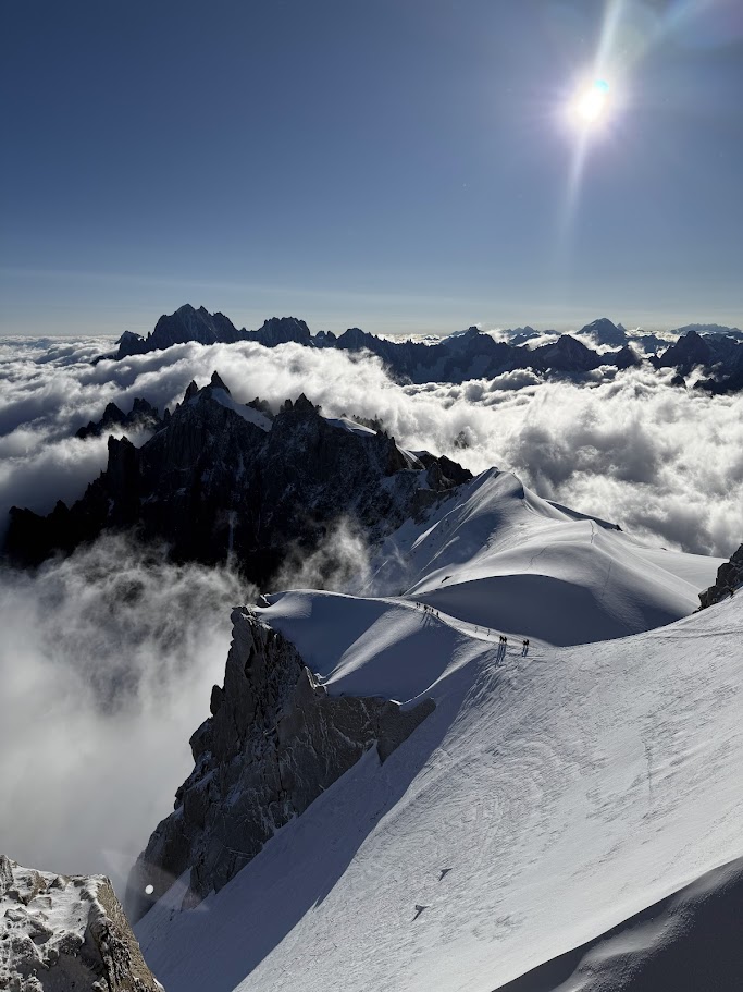 몽블랑 정상에서의 전경 